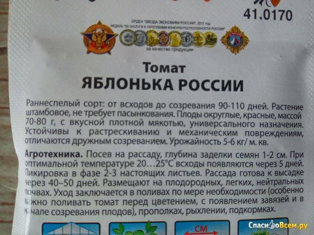 Помидоры яблонька россии: фото, отзывы, особенности сорта