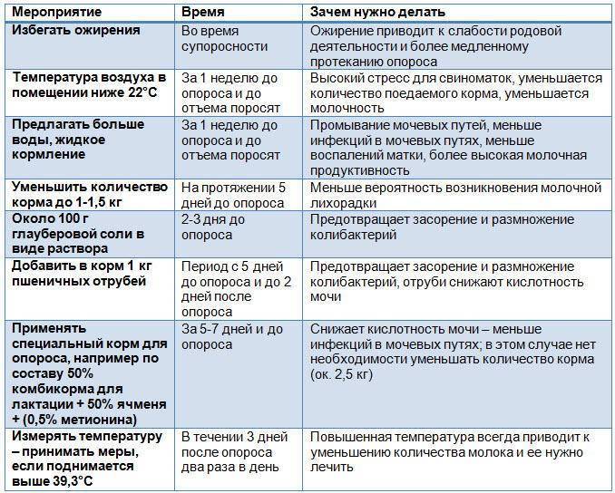 Как определить беременность свиньи в домашних условиях: признаки и методы