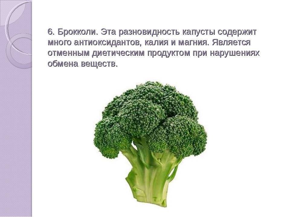 Прикорм для грудного ребенка: какие продукты можно, особенности прикорма