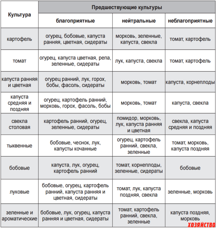 Сидераты: когда сеять и закапывать, какие сидераты лучше
