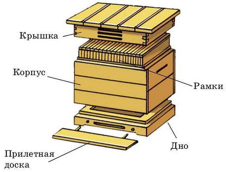 Нуклеусы для пчел от а до я: предназначение, как сделать самому