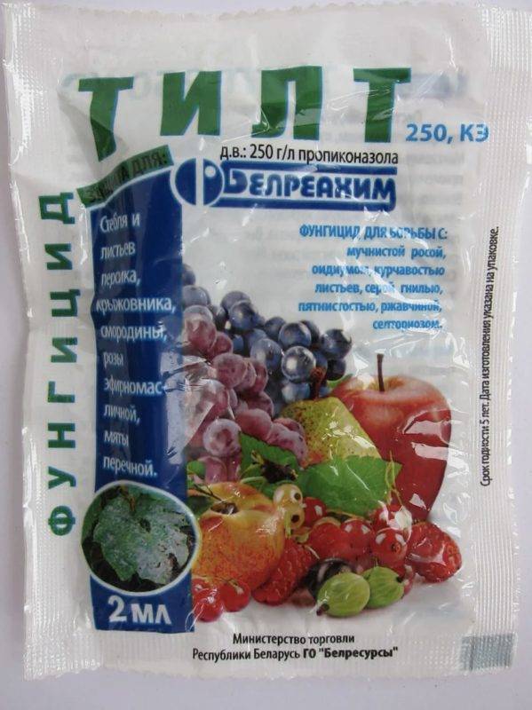 «тилт» — фунгицид, инструкция по его применению