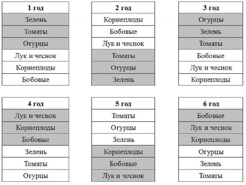 Схема севооборота в огороде