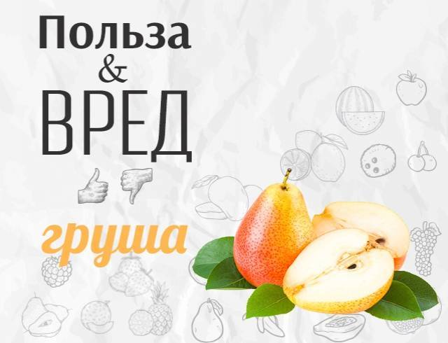 Груша