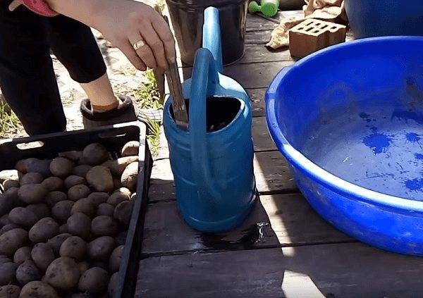 Медный купорос (сульфат меди): применение в садоводстве и на огороде, как разводить, приготовить раствор для обработки томатов, картофеля