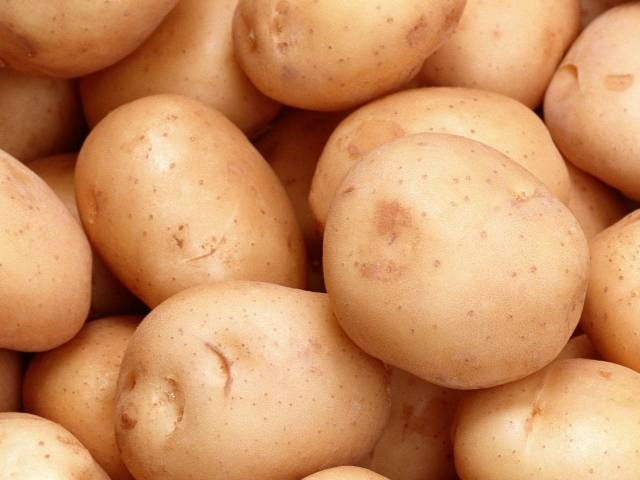 Описание картофеля сорта аврора фото описание