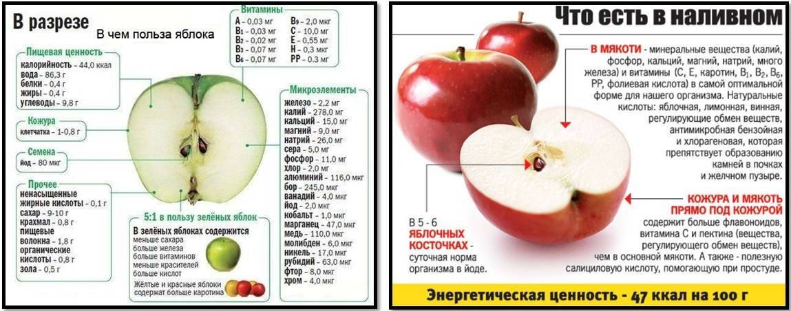 Лайм: польза и вред, состав, калорийность