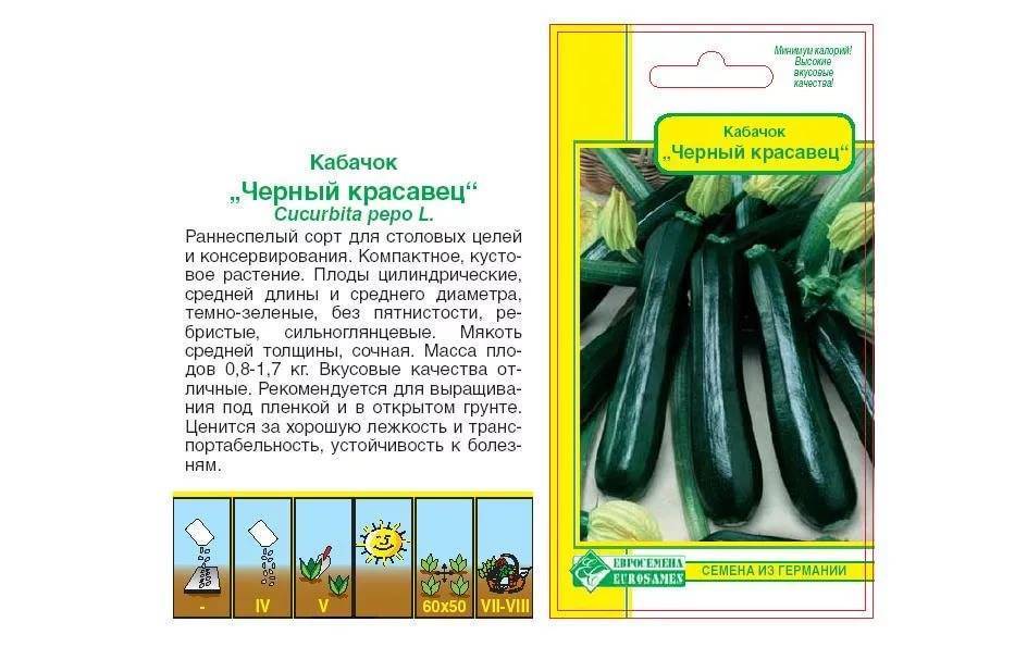 ✅ кабачок черный красавец цукини описание сорта - cvetochki-rostov-na-donu.ru