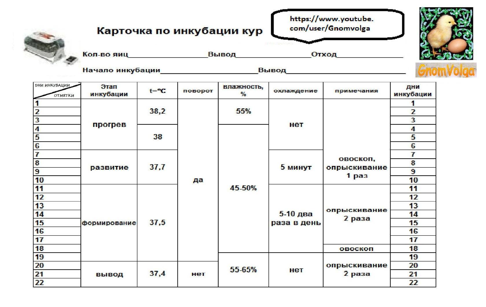 Какую температуру надо держать в инкубаторе. Таблица инкубации утиных яиц в инкубаторе Несушка режим инкубации. Таблица инкубации куриных яиц в инкубаторе матрица Дели. Таблица инкубации мускусных уток в инкубаторе блиц 72. Таблица инкубации куриных яиц матрица Дели.