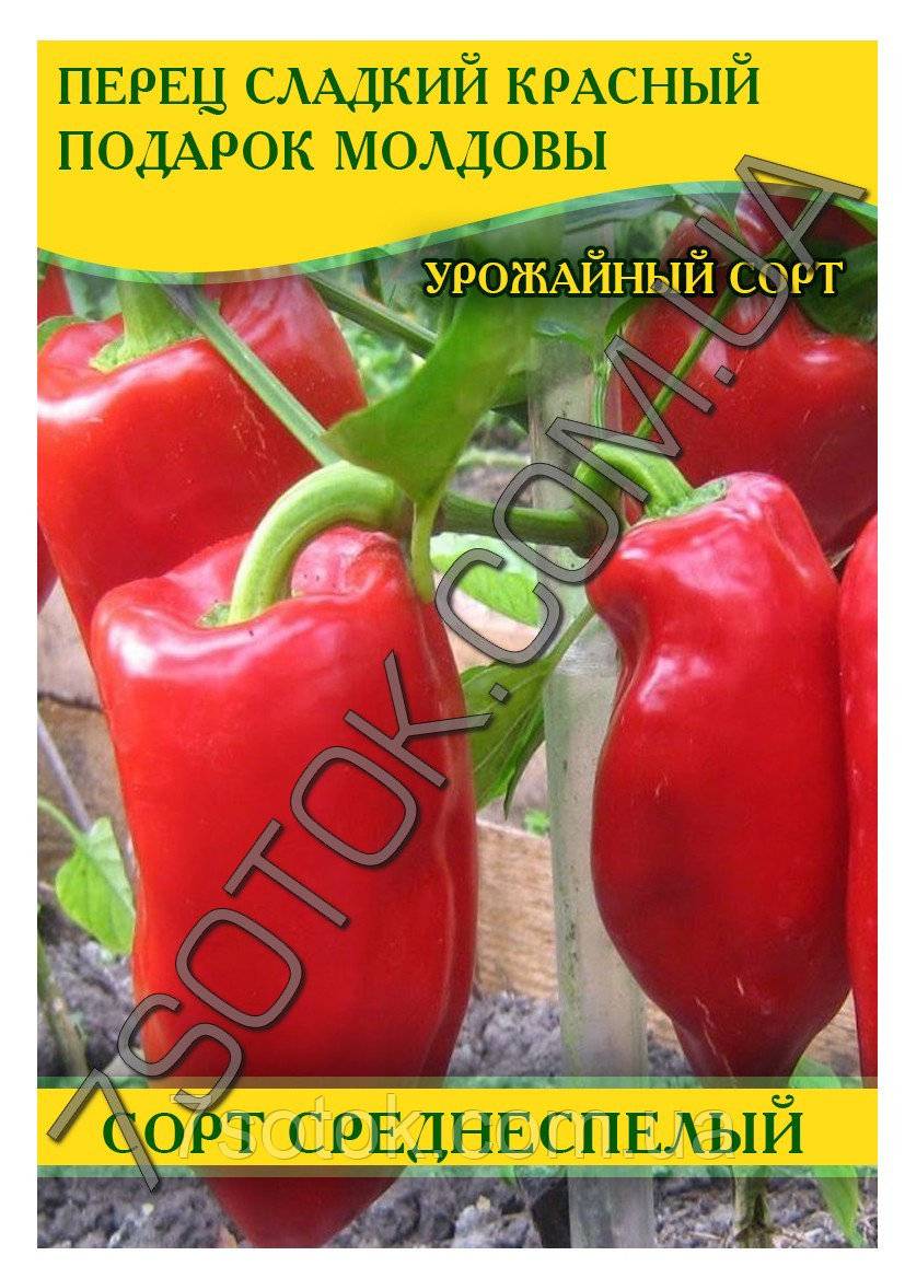 Перец подарок молдовы: описание сорта, фото, отзывы, характеристика плодов, урожайность