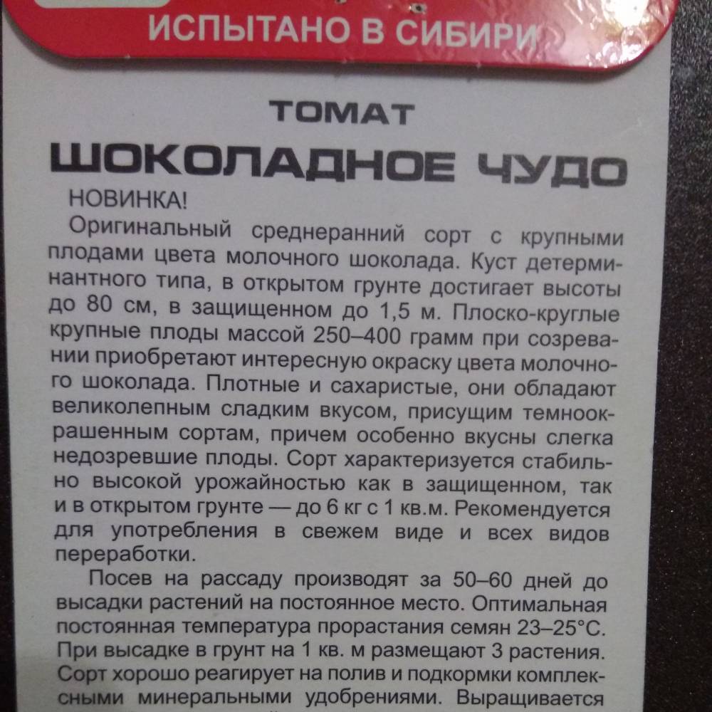 Помидоры «шоколадное чудо»: описание, агротехника выращивания