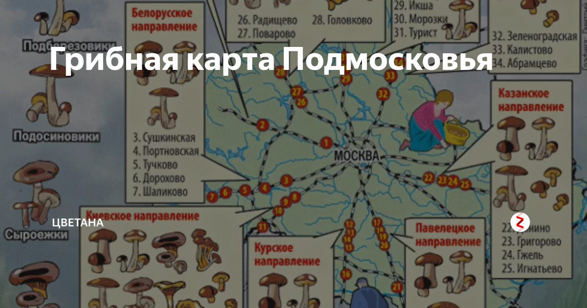 Грибы в подмосковье в ноябре 2023 года. Карта грибника Подмосковья. Грибные места в Раменском районе Московской области на карте. Грибы в Подмосковье карта. Карта грибных мест Подмосковья.