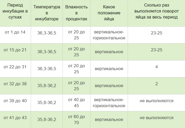 Инкубатор несушка влажность температура. Режим инкубации страусиных яиц. Таблица инкубации фазаньих яиц. Таблица инкубации страусиных яиц эму. Режим инкубации страусиных яиц таблица.