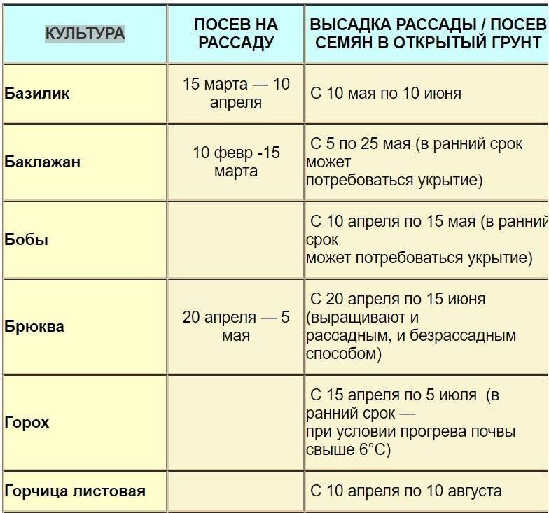 Сроки появления всходов овощных культур