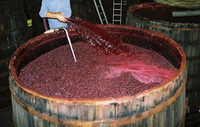 Производство и изготовление сухих и игристых вин, белого и красного вина