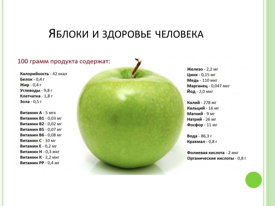 Польза и вред яблок- состав, пищевая и энергетическая ценность