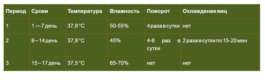 Схема инкубации перепелов