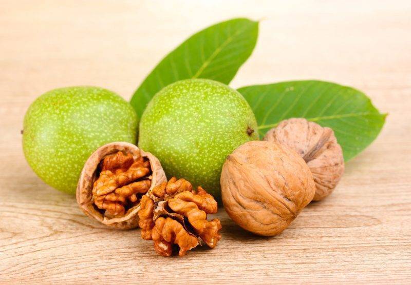 Листья грецкого ореха: полезные свойства и противопоказания