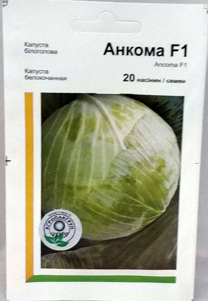 Капуста анкома описание сорта фото отзывы