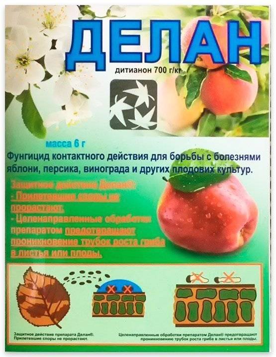 Инструкция по применению фунгицида делан и приготовление рабочего раствора