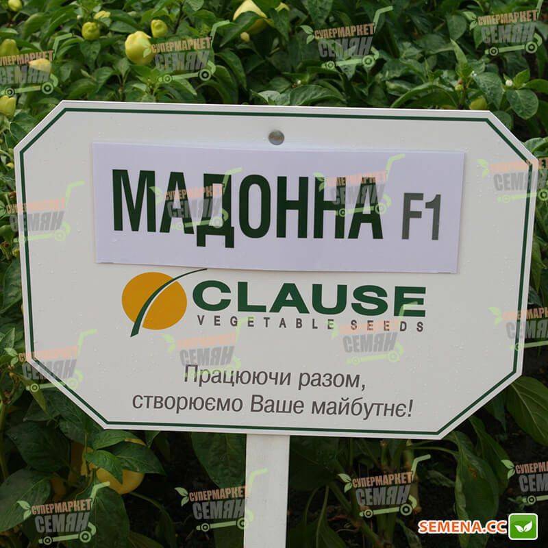 Описание перца мадонна