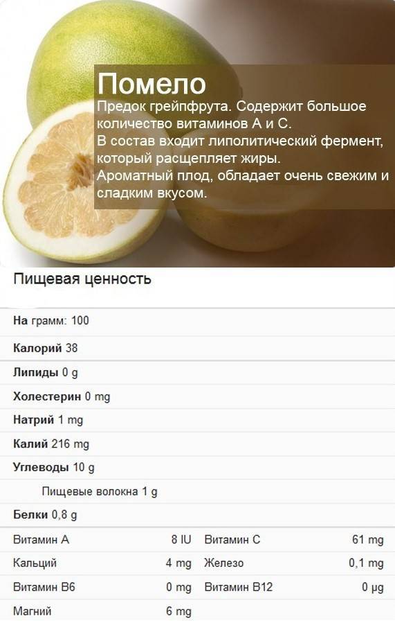 Лайм — описание растения и фрукта, польза и вред, калорийность, состав. как выбирать и хранить лайм, рецепты, выращивание дома