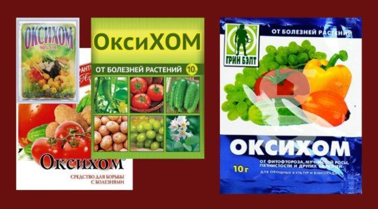 Препарат «оксихом» — инструкция по применению - удобряшкин.ру