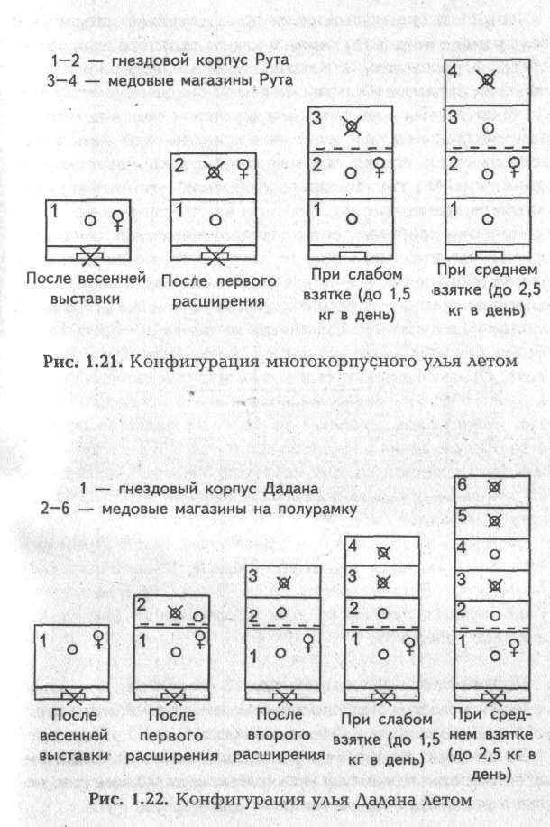 Схема перестановки корпусов рута