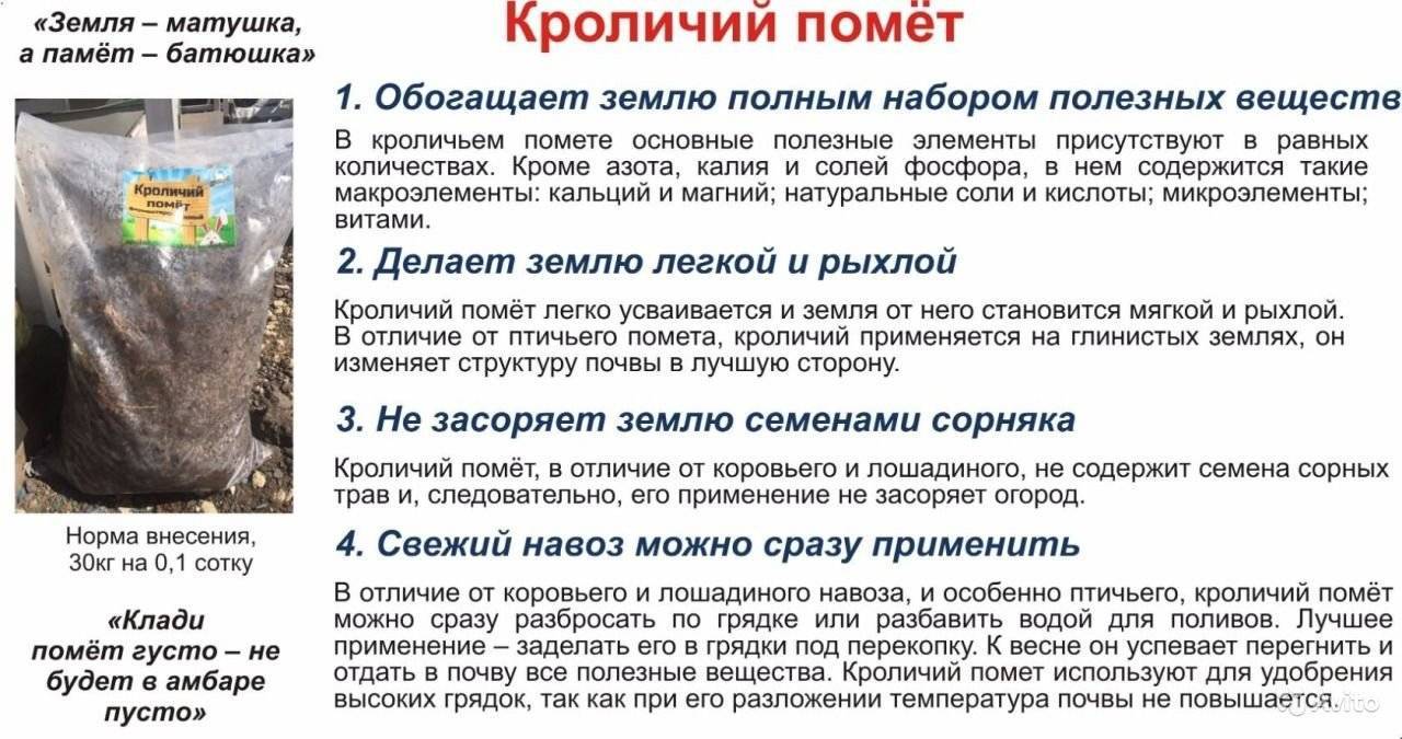 Как применить голубиный помет