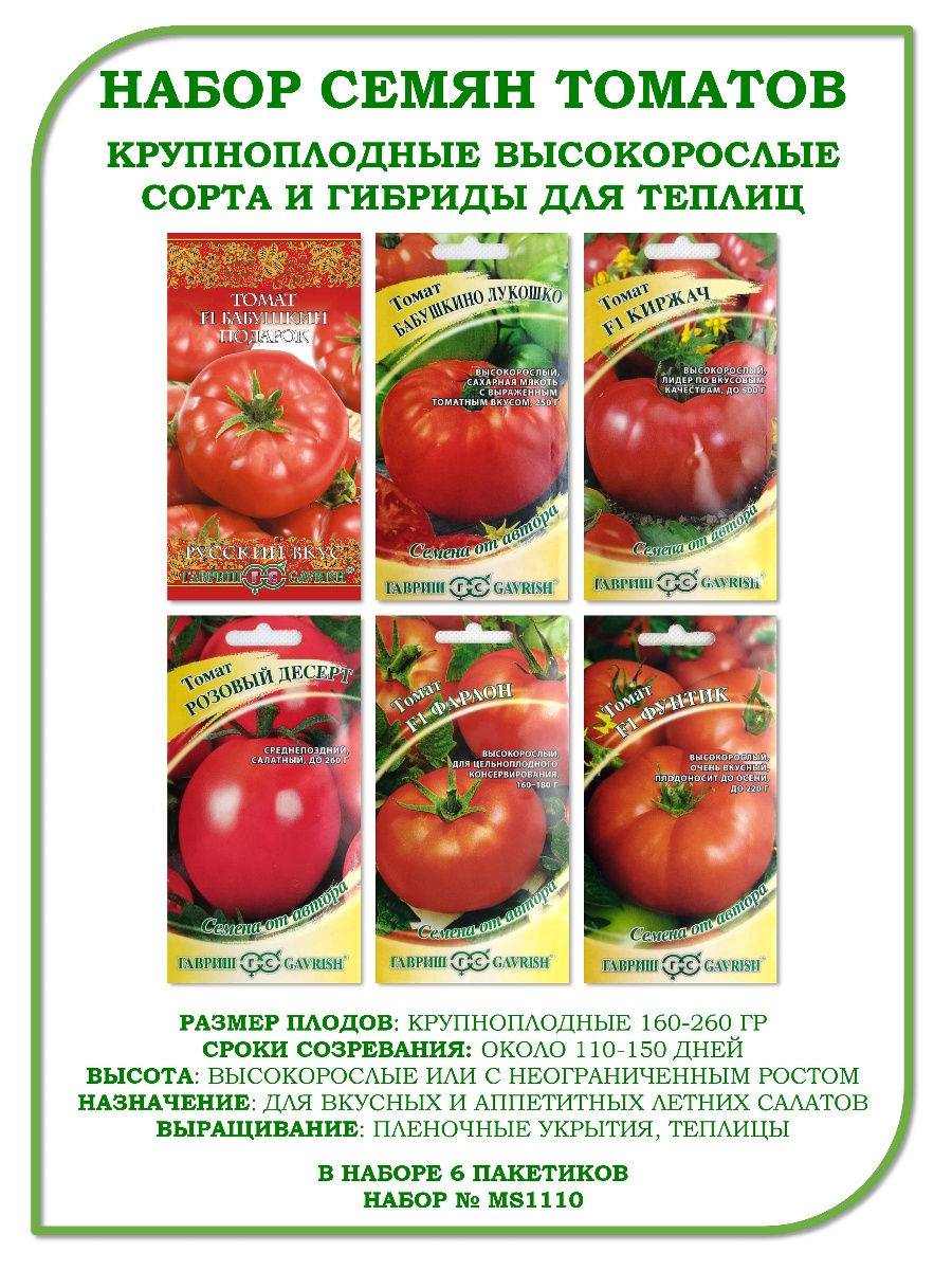 Лучшие сорта томатов (помидоров) для теплицы из поликарбоната