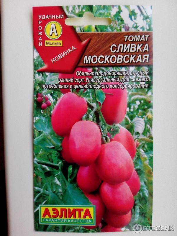 Описание сорта томат сливовка и его характеристики