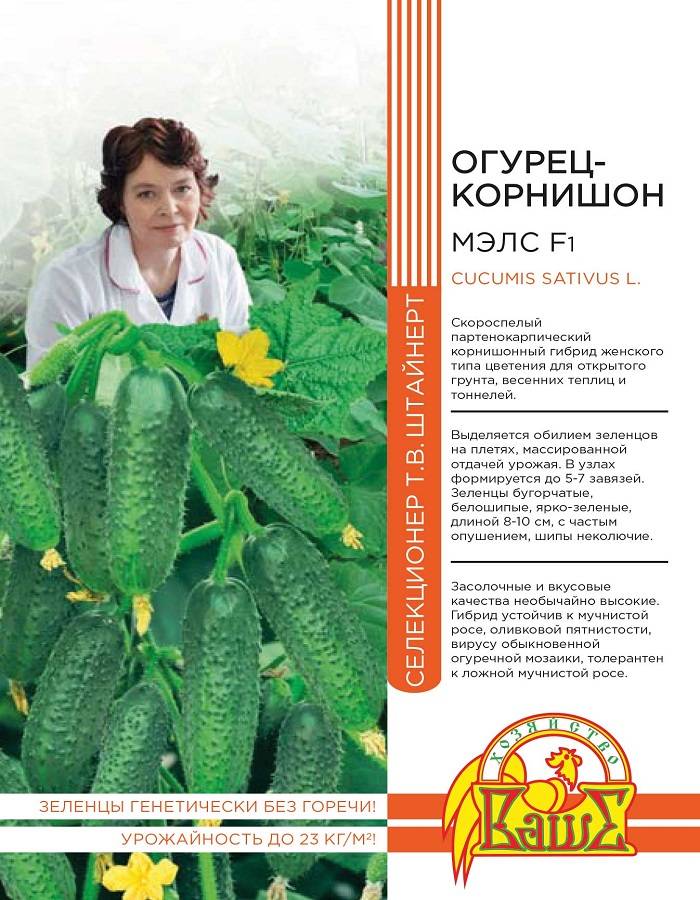 Огурец мэлс f1 отзывы
