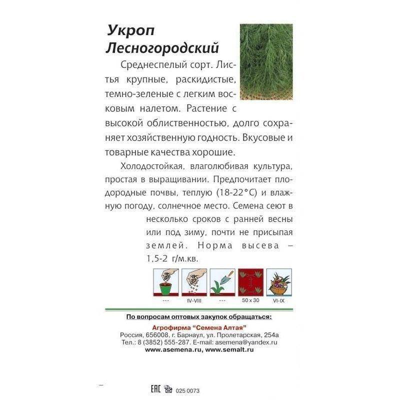 Укроп лесногородский характеристика и описание сорта фото