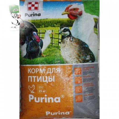 Purina one для собак – отзывы, стоит ли давать своему питомцу