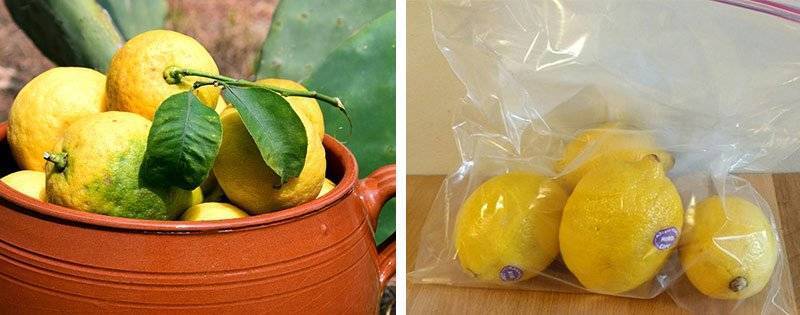 Сколько можно хранить выжатый лимонный сок
