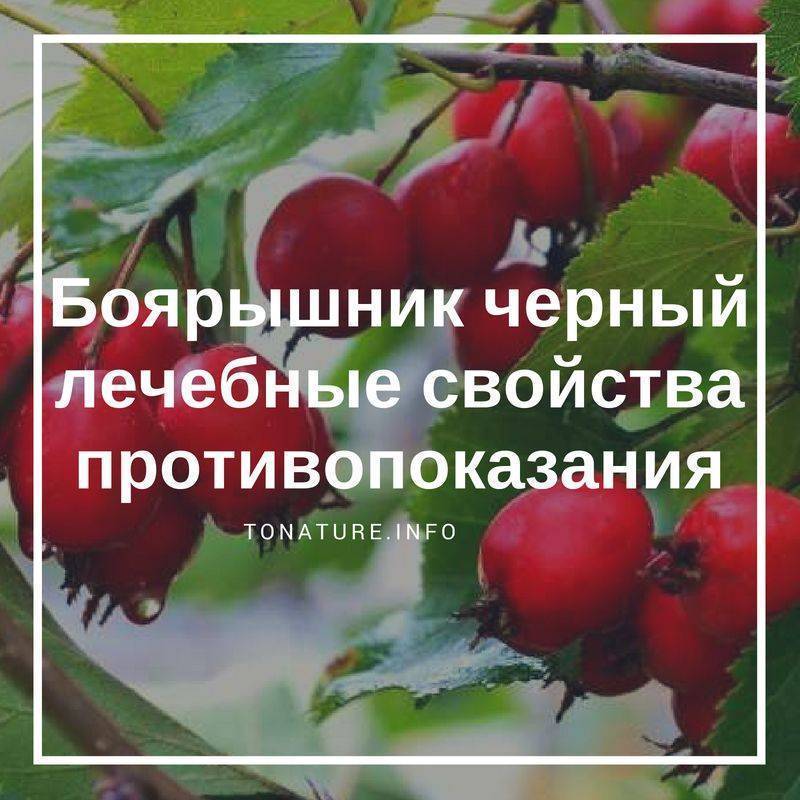 Напитки при онкологии - что пить при раке: кофе, соки, чай, настои, вино