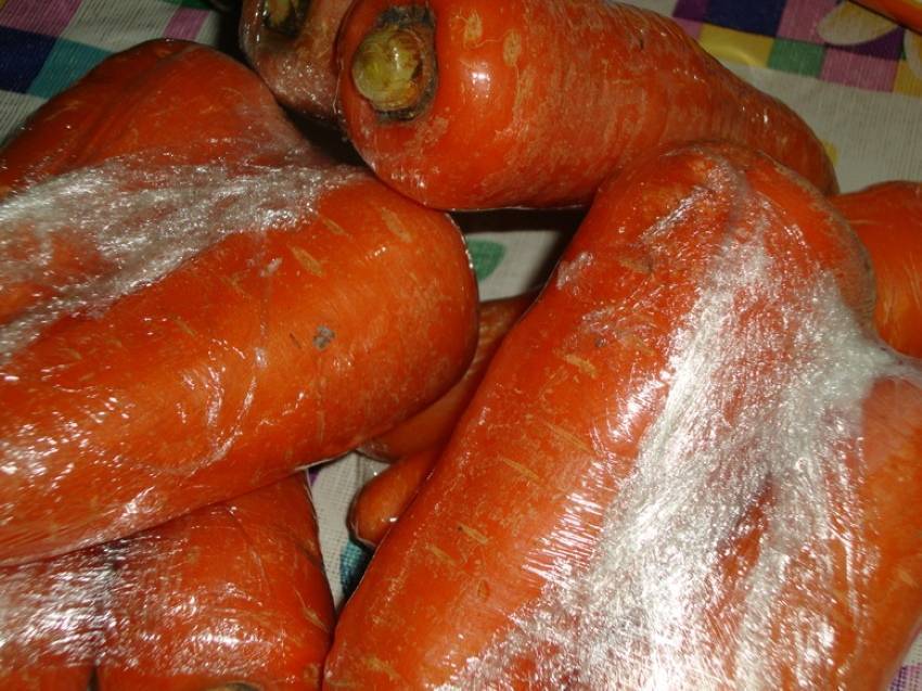 Как лучше хранить морковь в холодильнике