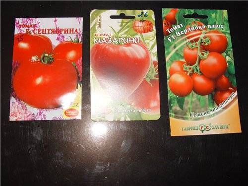 Характеристика томатов сорта «лабрадор»: описание, отзывы, фото