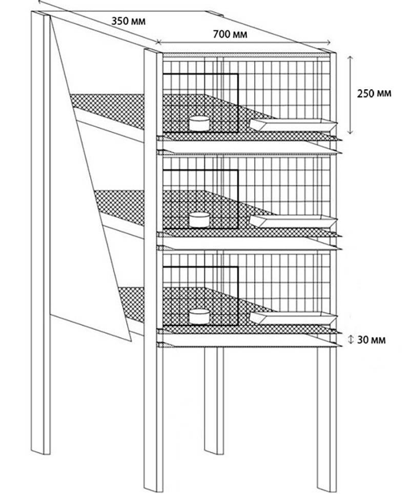 Размер клетки для бройлеров на 10 голов своими руками поэтапно фото
