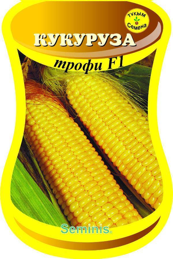 Сорт кукурузы трофи f1