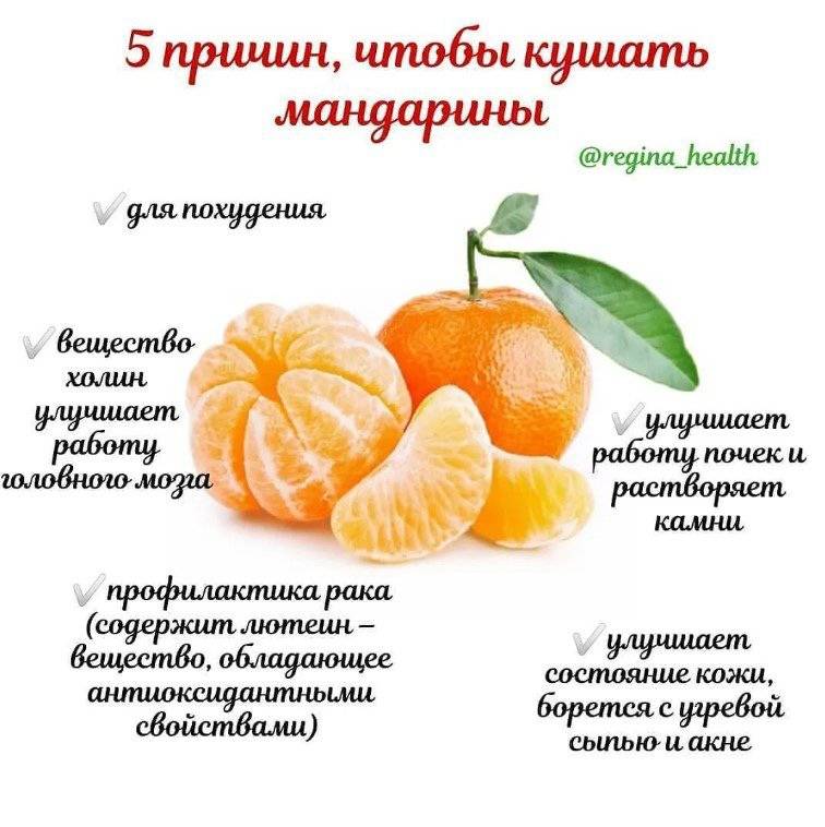 Чем полезны мандарины для здоровья – 11 доказанных свойств