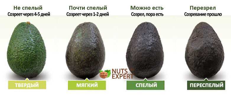 Как выбрать авокадо ~ инструкции на все случаи жизни