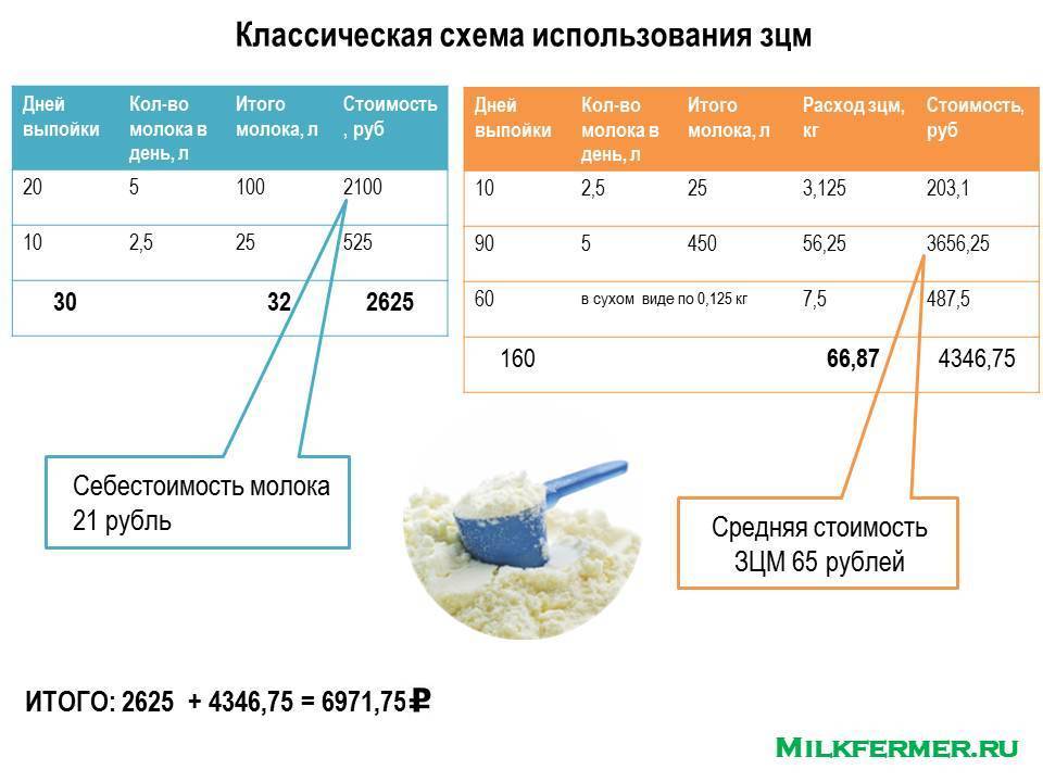 Схема кормления телят от 0 до 6 месяцев