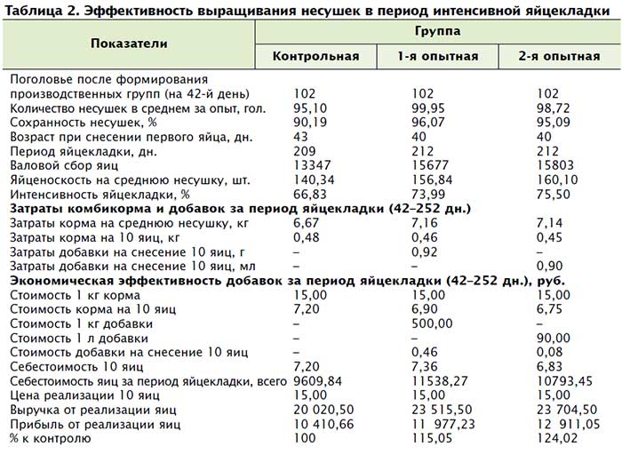 Разведение кур несушек на яйца бизнес план