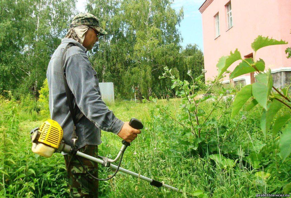 Борьба с сорняками на участке. Сорняки на участке. Борьба с сорняками. Прополка травы. Химический метод борьбы с сорняками.