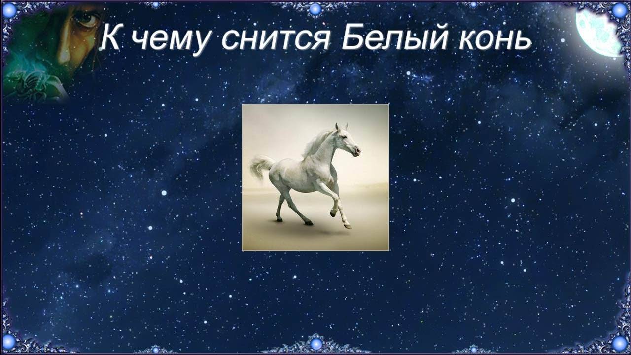 К чему снится сон о лошадях девушке или мужчине: красивые, необычные, мертвые животные