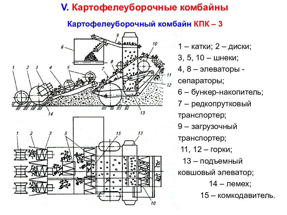 Уборка картофеля: когда начинать, применение техники в сборе урожая