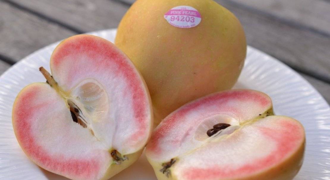 Сорт яблок розовый жемчуг отзывы садоводов фото
