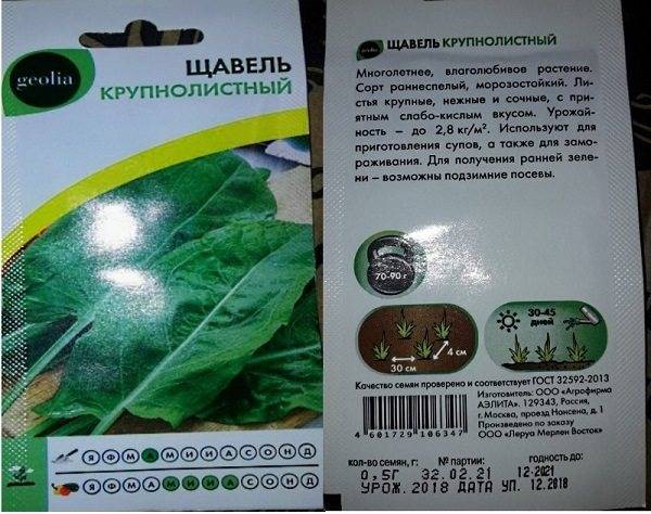 Посадка щавеля под зиму: преимущества, оптимальные сроки, выбор сорта, подготовка участка и семян, правила посева, время созревания