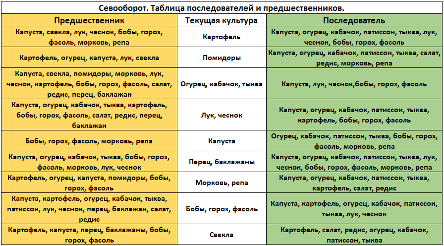 Таблица севооборота овощных культур на дачном участке таблица фото на русском языке